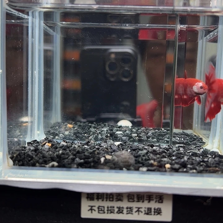 斗鱼跑单拉黑3日15