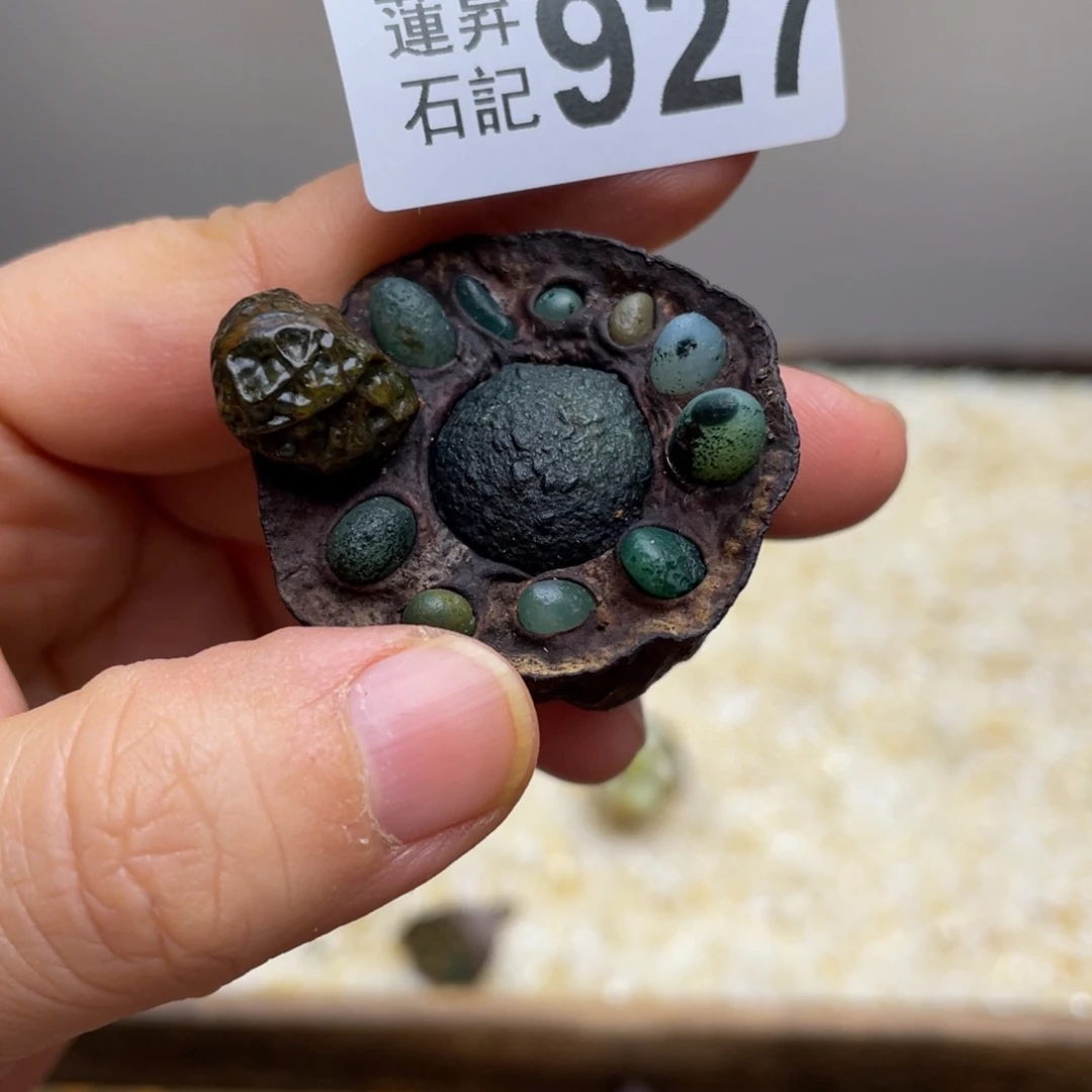 核桃木/黑胡桃（胡桃木）安****子927