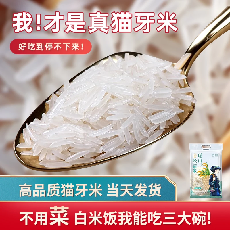 【瑶山丝苗米】晚稻好吃丝苗长粒香米新鲜真空南方籼米大米丝苗