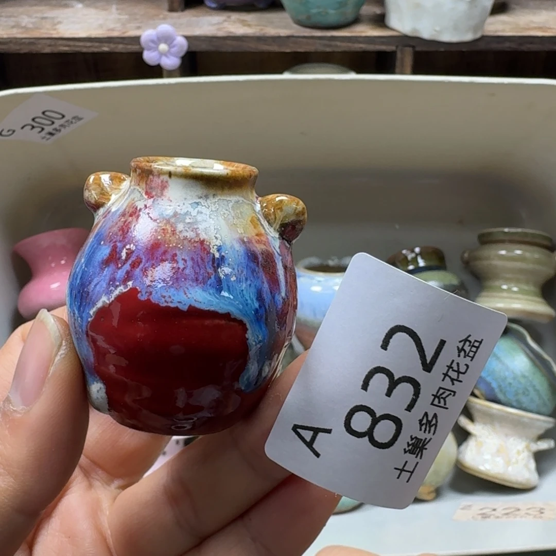 薯****陶瓷艺术品设计与制作