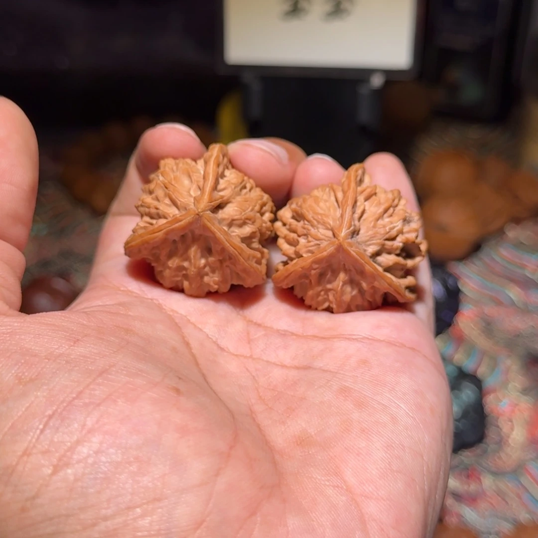 文玩核桃把件1341盘山奔，尺寸36