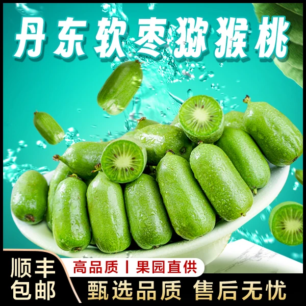 RUNJING-AISITE润景艾斯特丹东软枣猕猴桃奇异果1/2/3斤礼盒包装