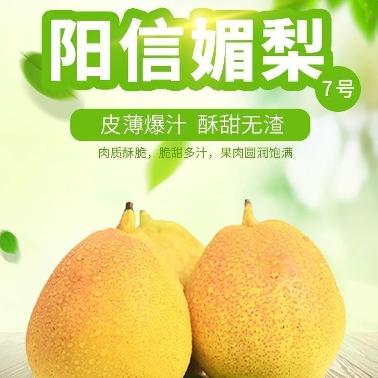 【阳信7号媚梨】正宗阳信媚梨7号香梨新鲜当季香甜多汁