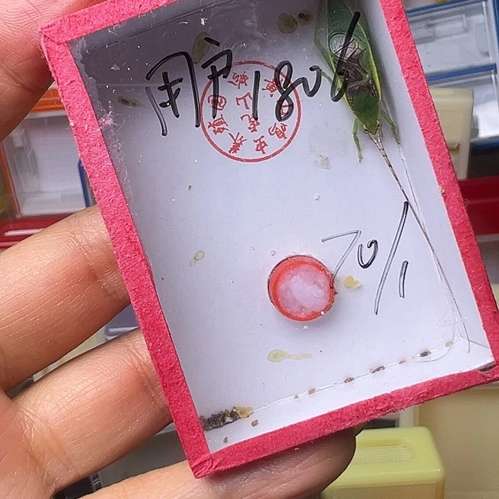 用***5哈哈哈哈哈哈哈哈哈哈哈