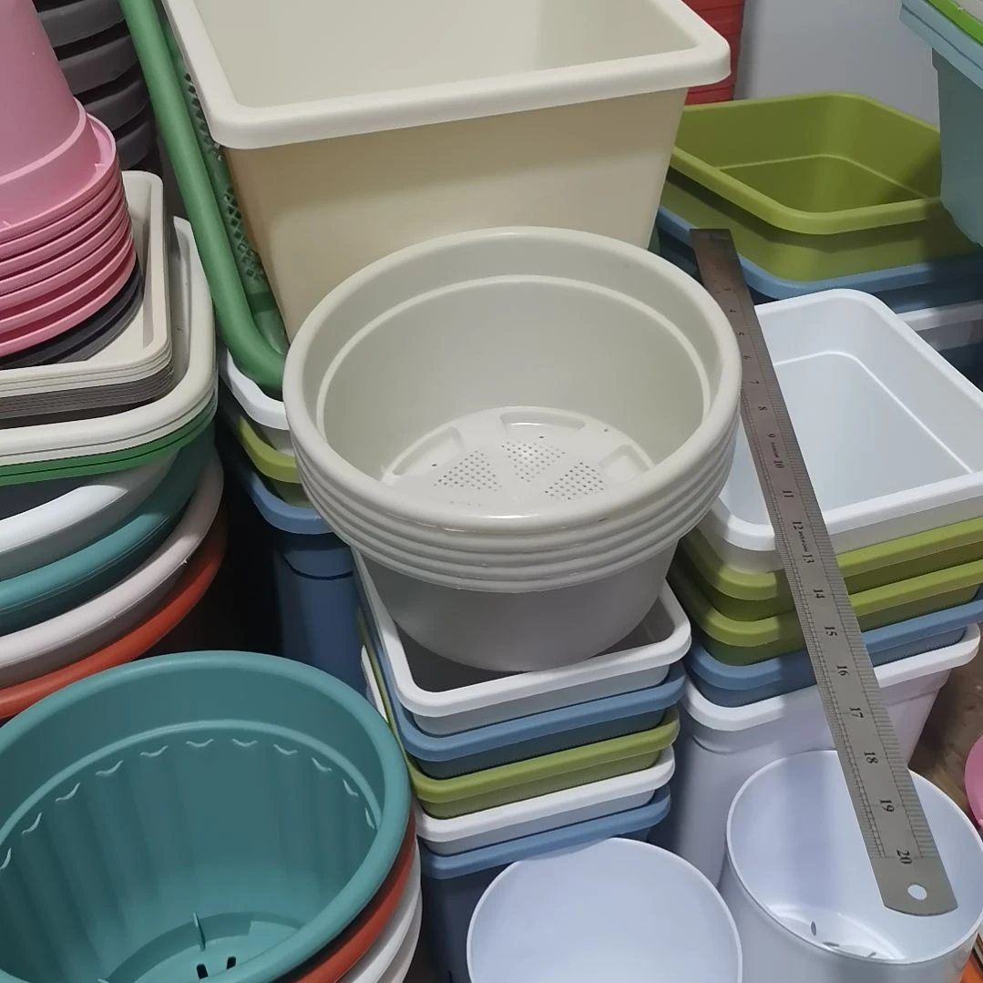 22口米白色五个不带托盘