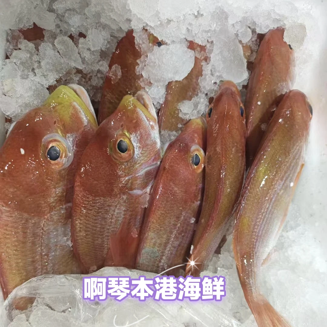 (就船咸红立)汕尾马宫本港双拖   红立鱼  刹涩