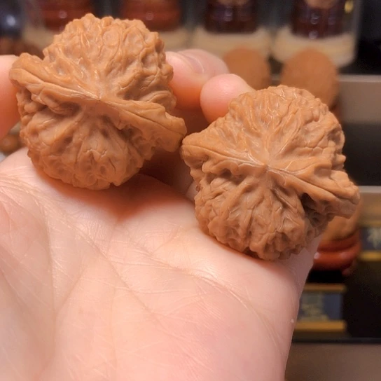 野生小众：鱼籽纹