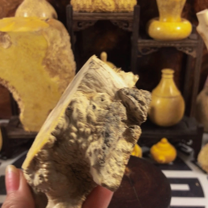 木猪****猪木料木料木料木料