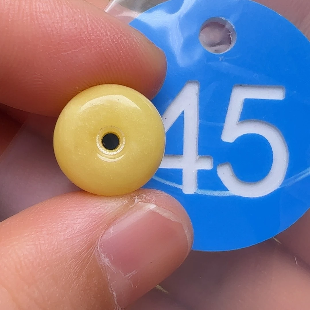 未镶嵌蜜蜡裸石12.3m m