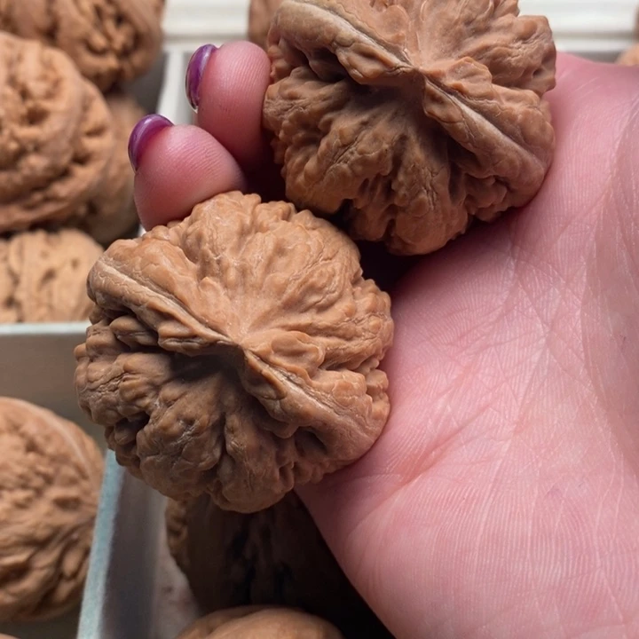 魔***才文玩核桃手串霸王龙