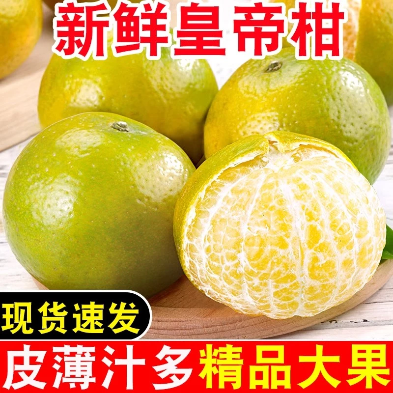 正宗广西皇帝柑新鲜橘子水果当季现摘蜜桔子贡柑甜橘老树大果包邮