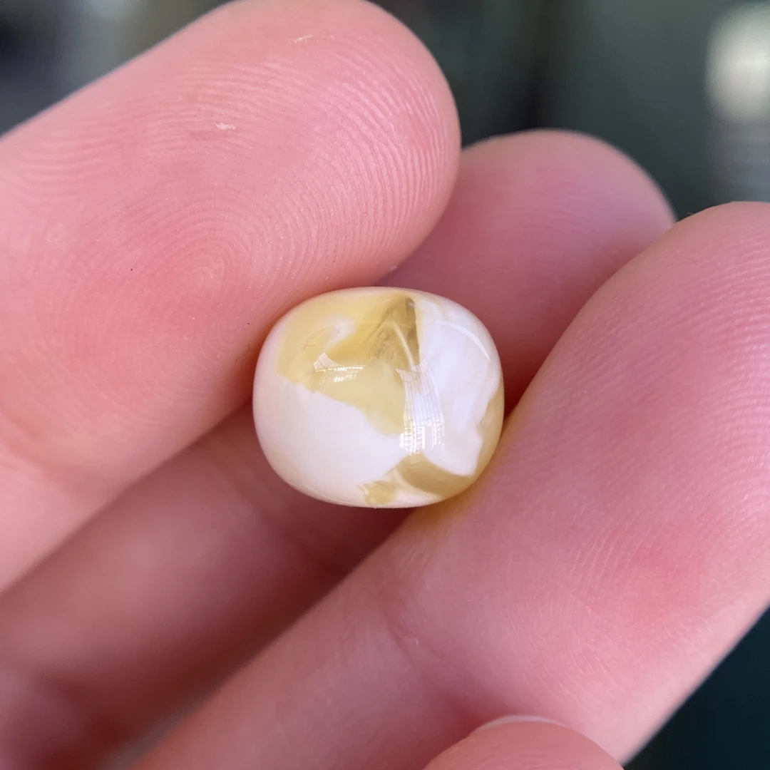 蜜蜡金白墩子配饰11.0×9.5mm，挺好看的，挺金挺白