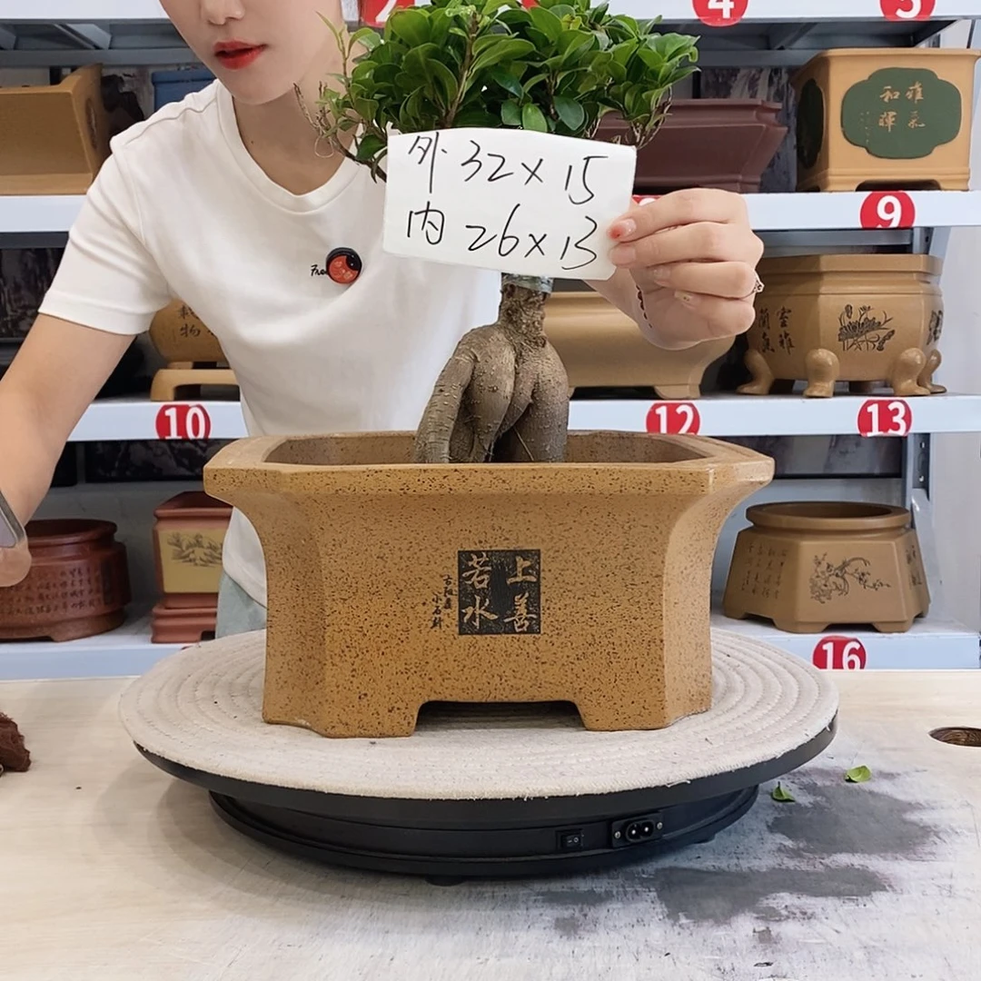 紫砂花盆紫砂花盆