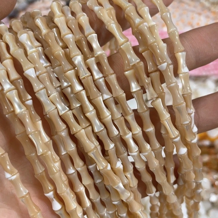 贝壳非金属一条咖色马体螺竹节