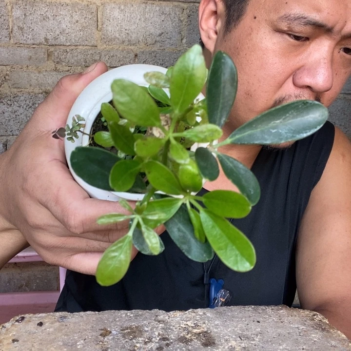 爱*华退款拉黑一物一拍286