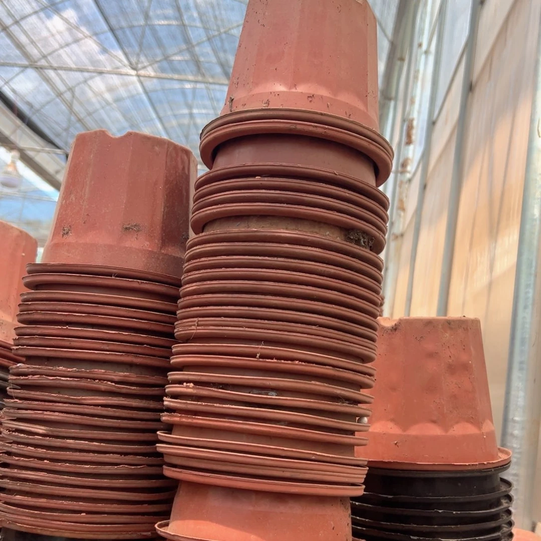 红砖盆16口径13高 50个