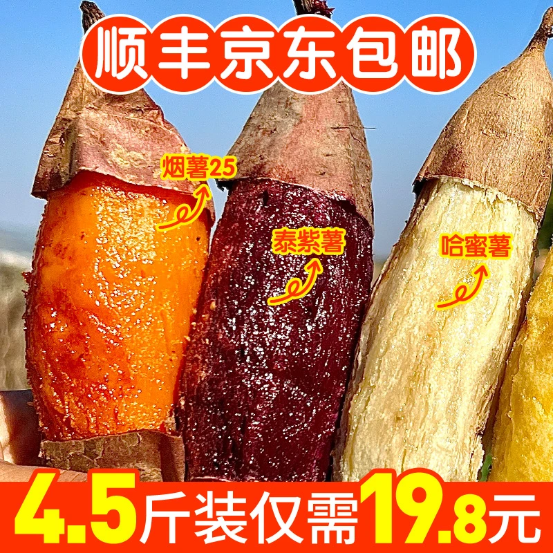 【三大薯王组合】红瑶榴莲蜜薯泰紫薯哈密冰糖薯包邮番薯
