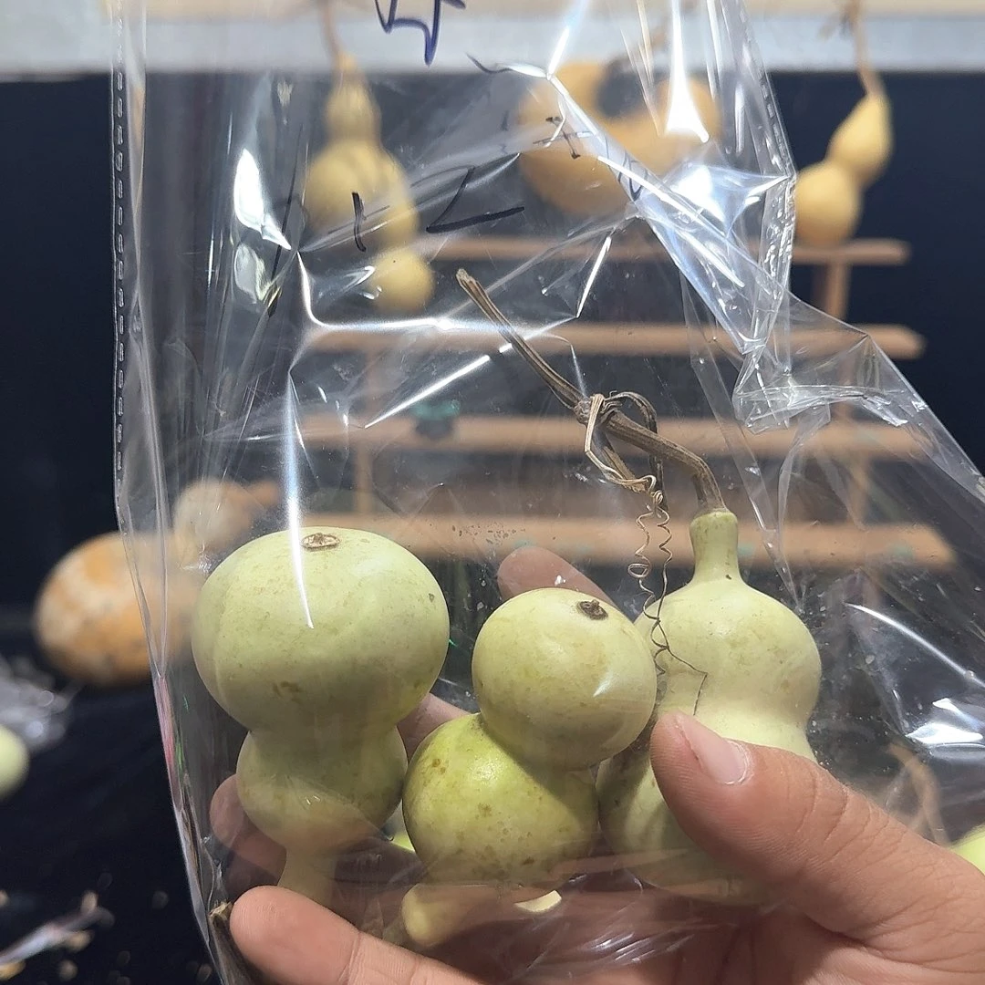 年**余定好定向定向定向