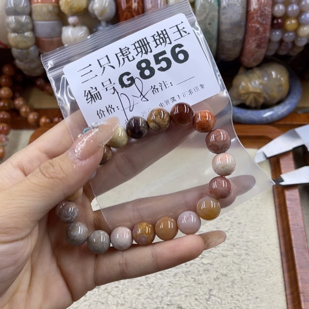 *****硅化珊瑚（珊瑚玉）未镶嵌h