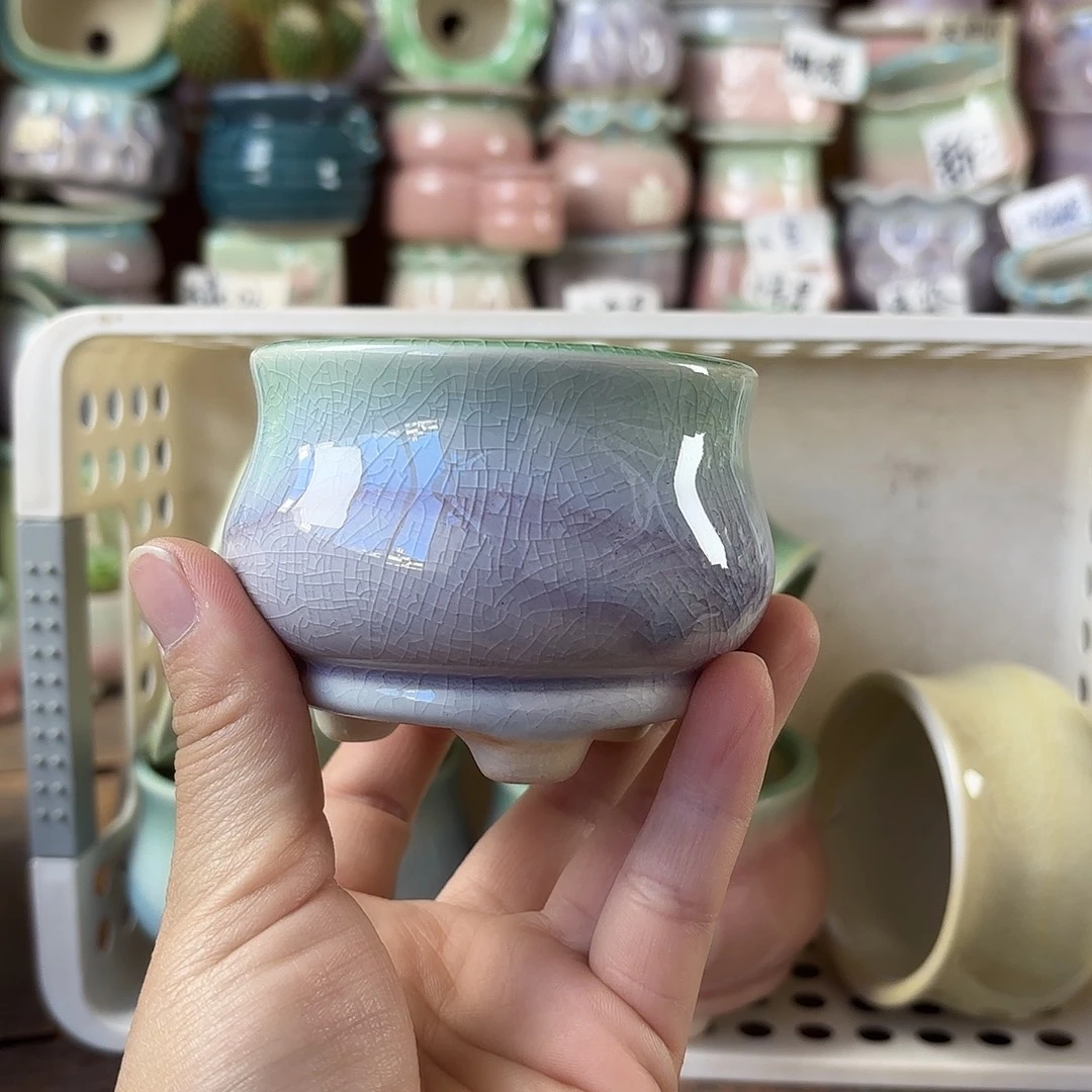 量货/口7高6深浅搭配发12