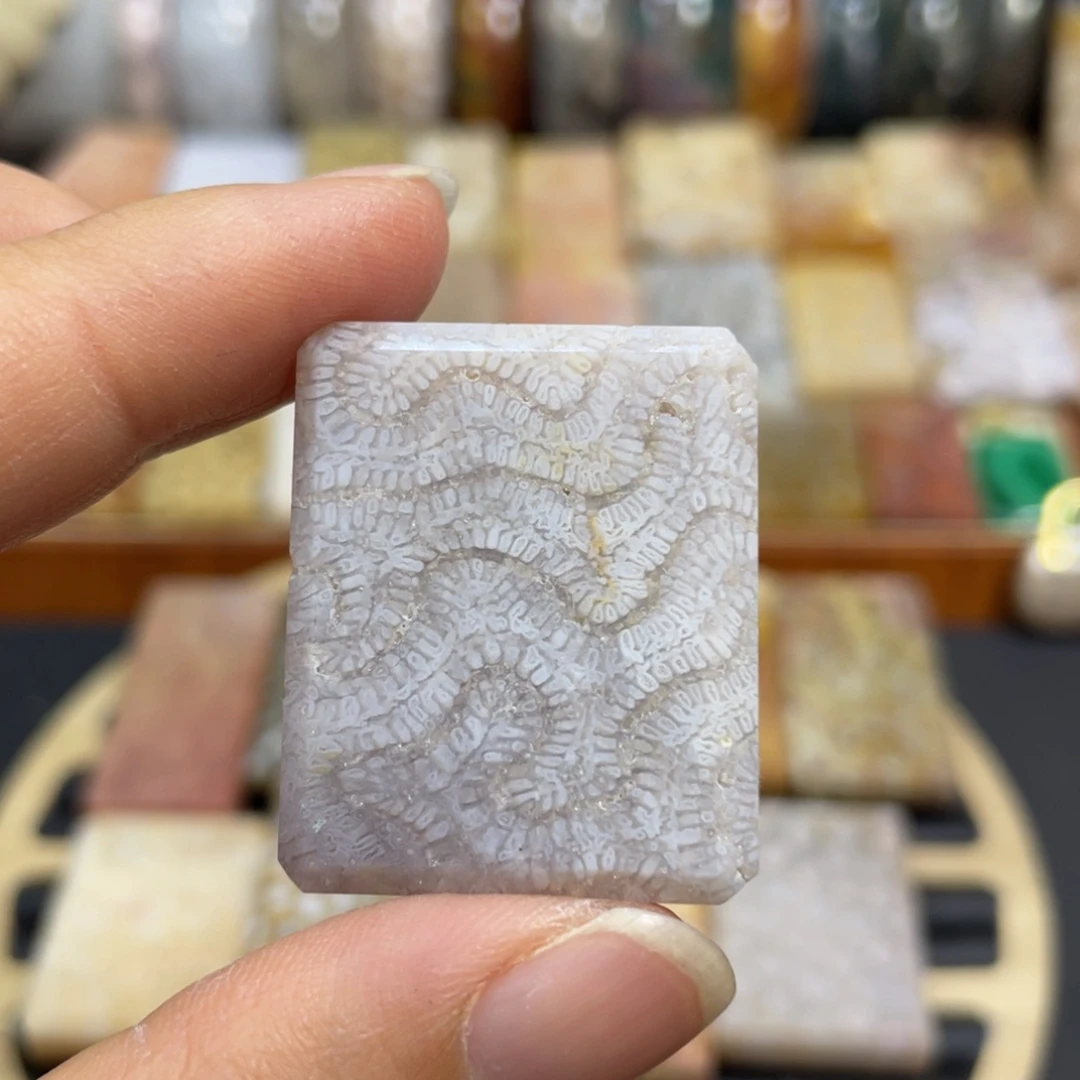 硅化玉未镶嵌颈饰k53