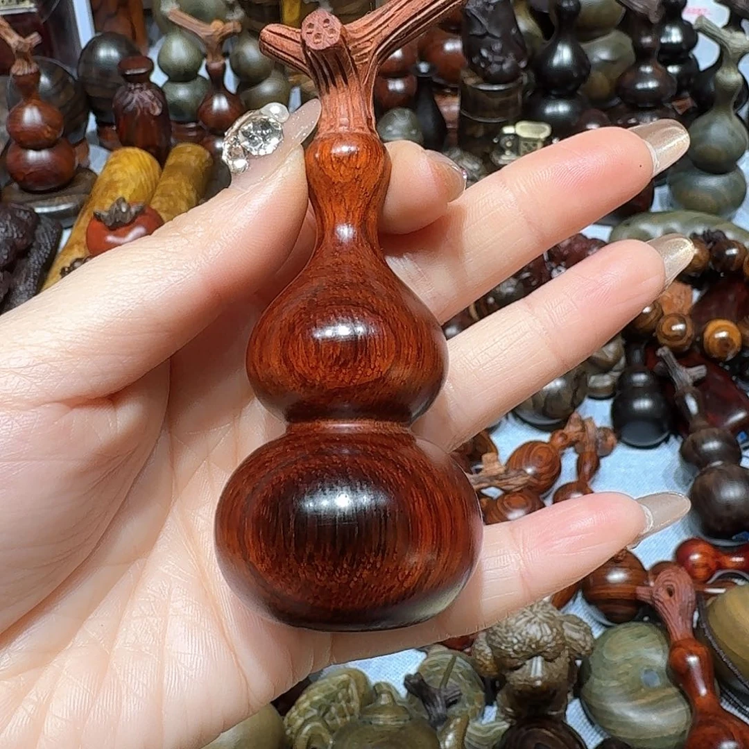 香榧木"**姐东非小叶葫芦