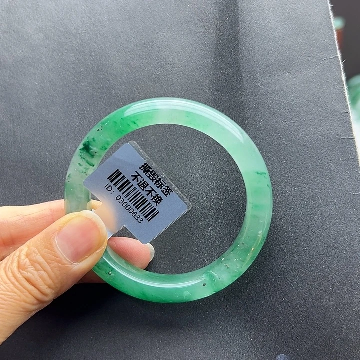 石英质玉未镶嵌手镯燕子➕52.6