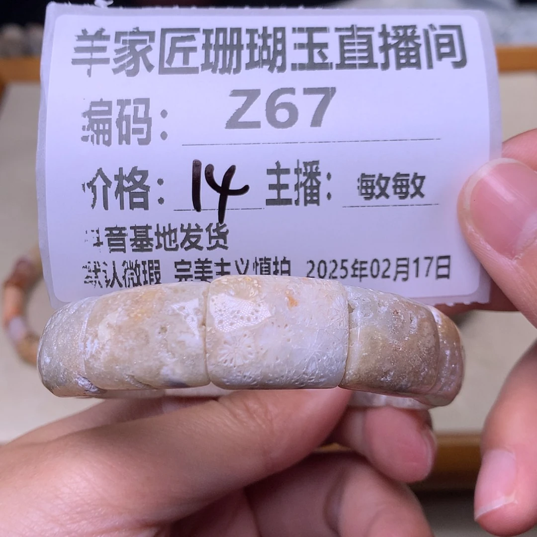 【闪购商品】硅化珊瑚（珊瑚玉）手链未镶嵌小*干Z67