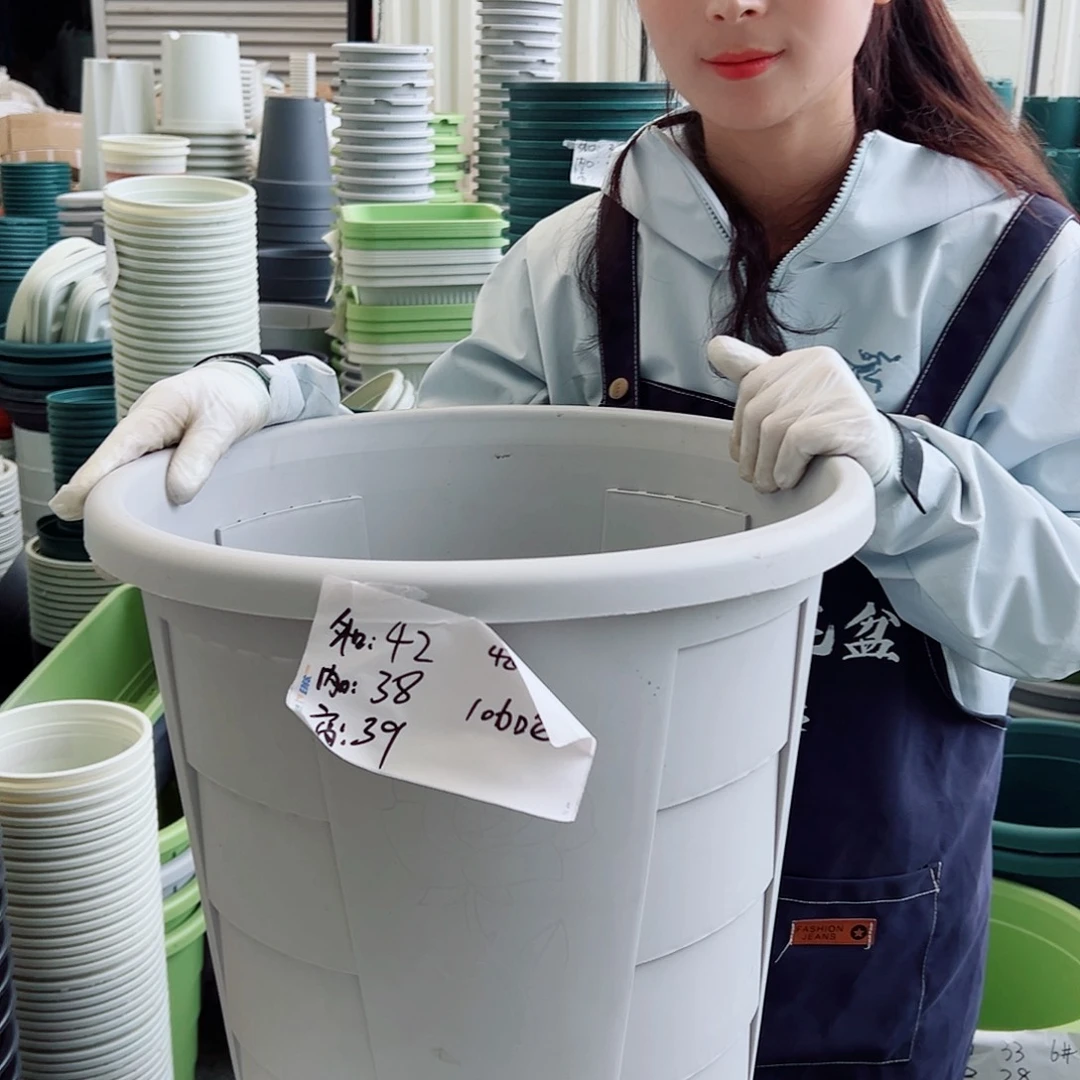 玫瑰420#灰白色2个无托