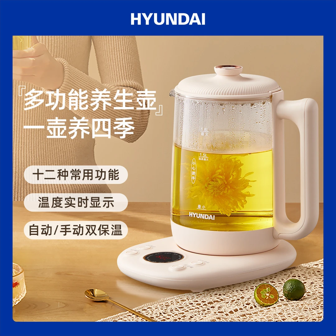 HYUNDAI韩国品牌养生壶多功能全自动花茶壶