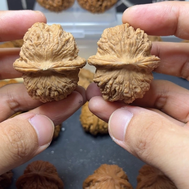 守正核堂，37血麒麟