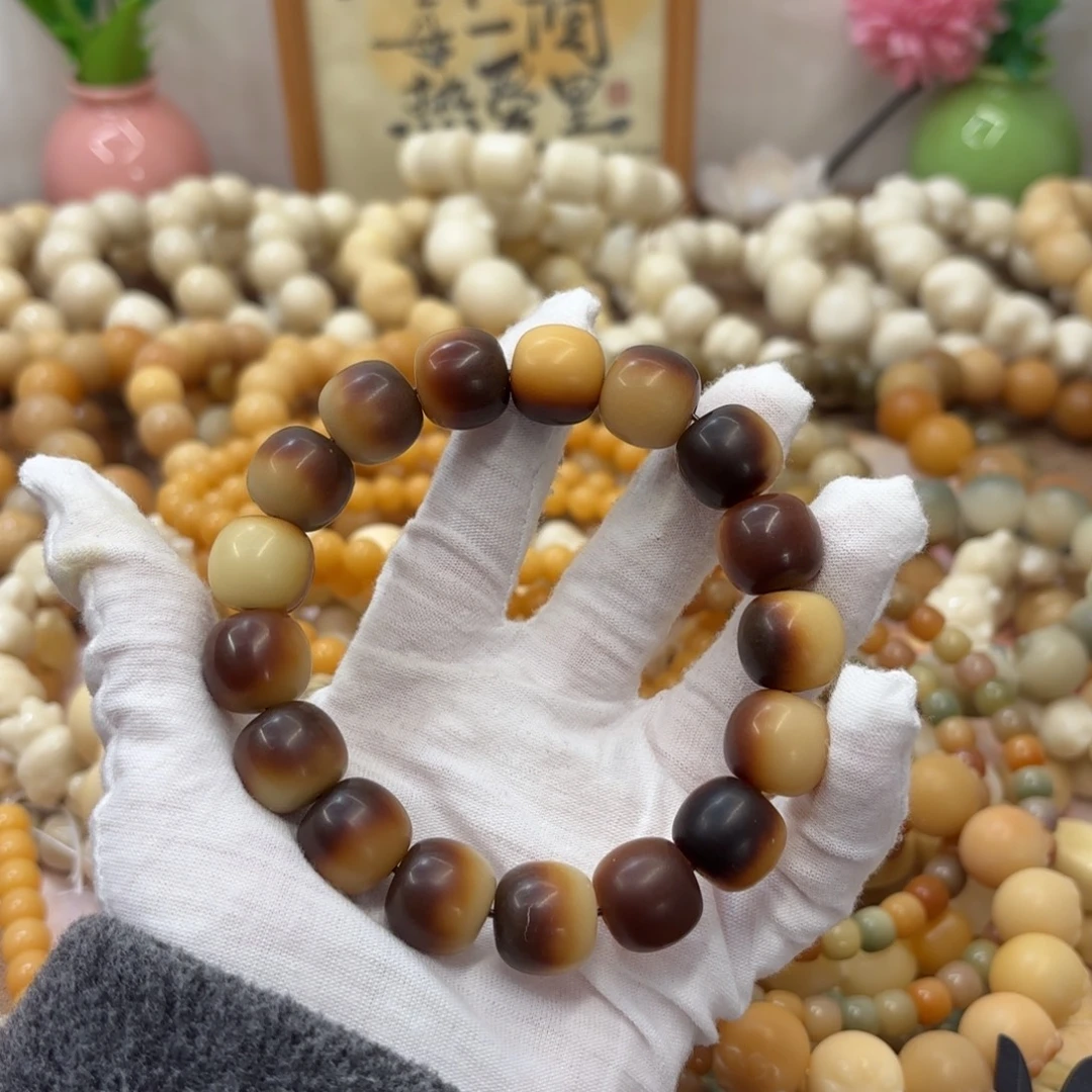 菩提根/象牙果吊坠16干磨瑕疵落地果038