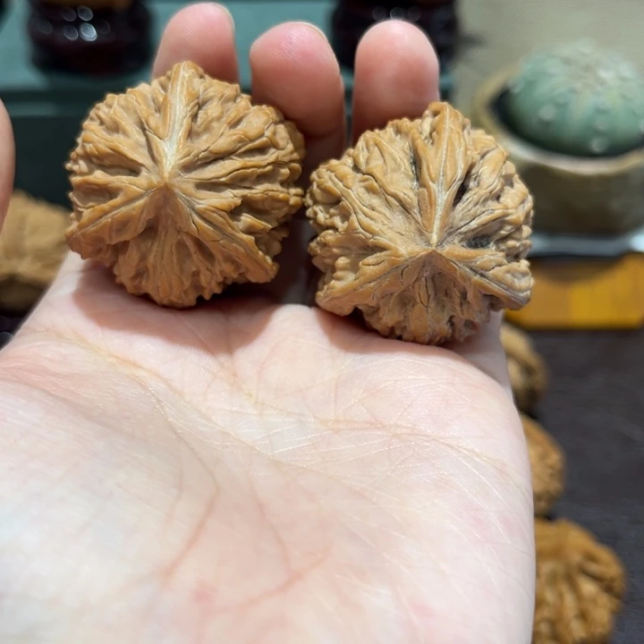 吊坠文玩核桃玉龙粗筋三棱37