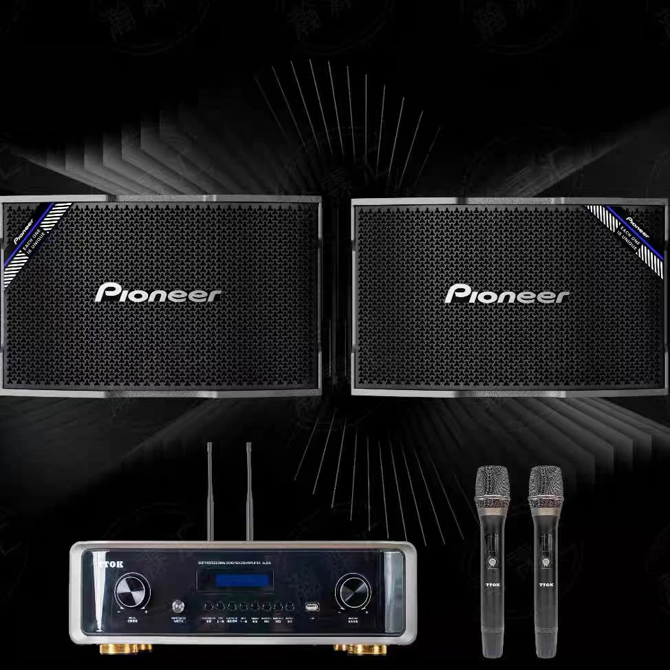 pioneer先锋家庭K歌卡包音箱KTV家庭卡拉OK培训班教学会议音响