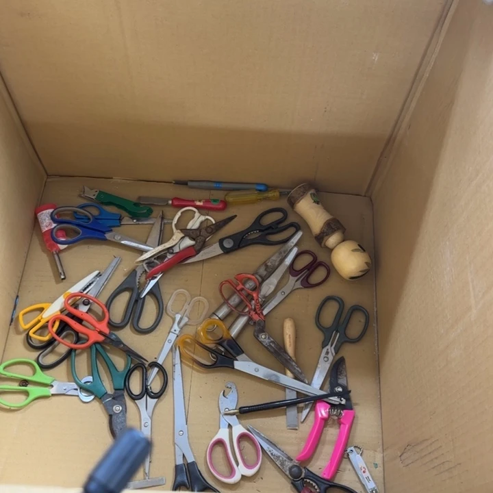 张*凌哈哈哈哈哈哈哈