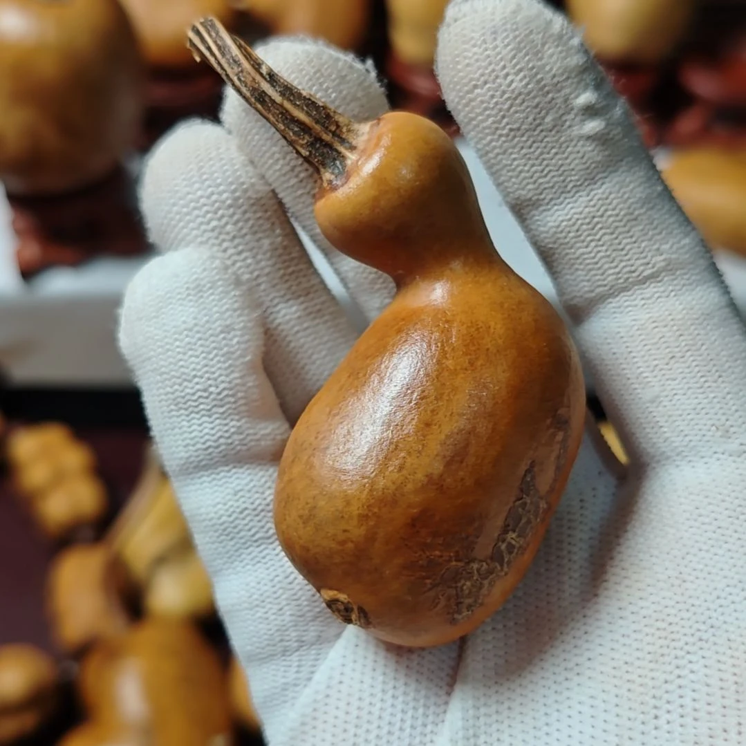 @***t精品土豆葫芦一物一拍