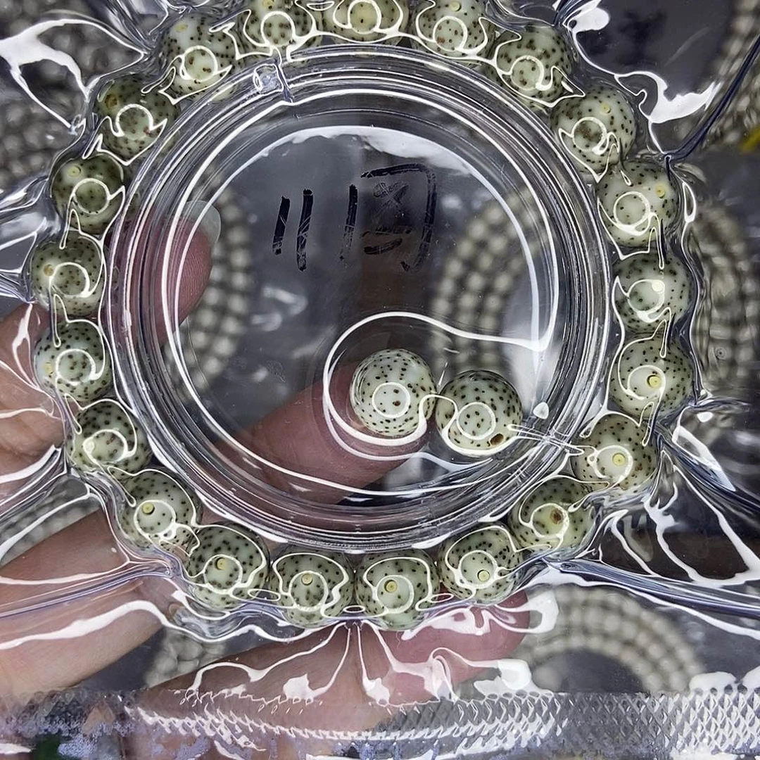 星月菩提手串星月