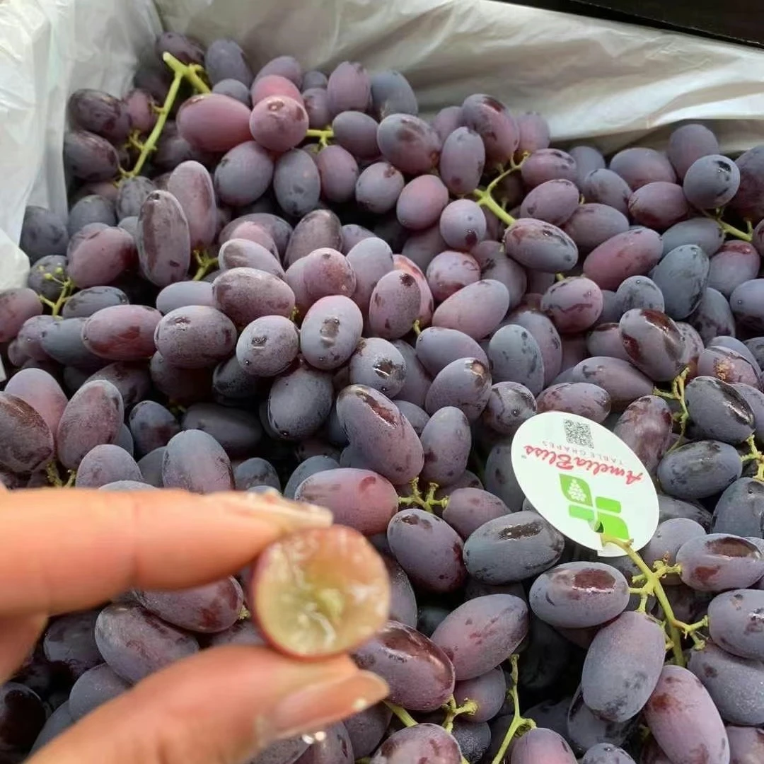 澳 洲棒棒提500克  品质无敌挑剔，皮薄蜜甜不涩口