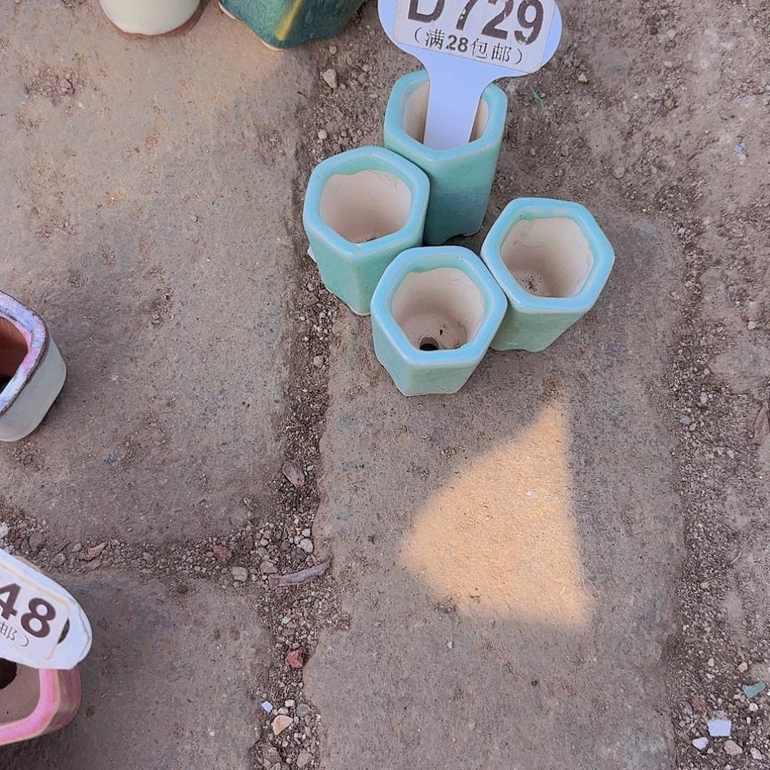 妍***D729四个盆一物一拍