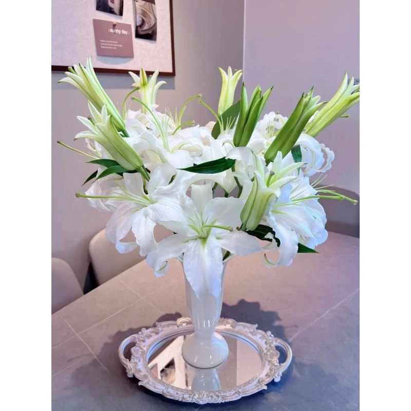 随机品种白百合10个花苞  收到需醒花  0°以下要拍保温棉