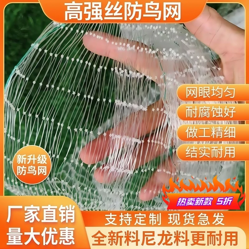 防鸟网果树樱桃葡萄梨树果园防鸟用网草莓大棚尼龙养殖网鱼塘天网