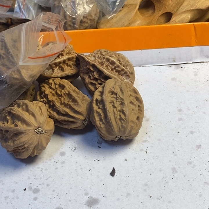 吊坠文玩核桃东北特产303