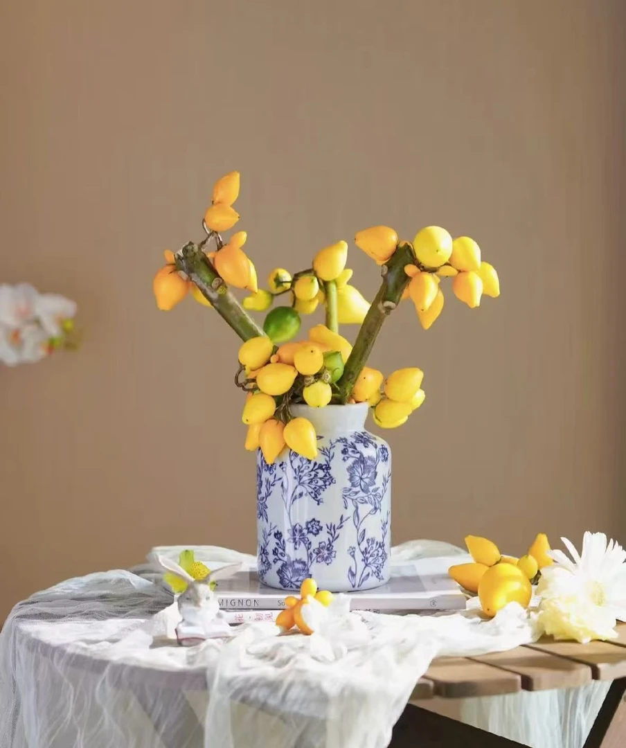 小雅--鲜花 玲珑1号 五代果 黄金果  干插干养