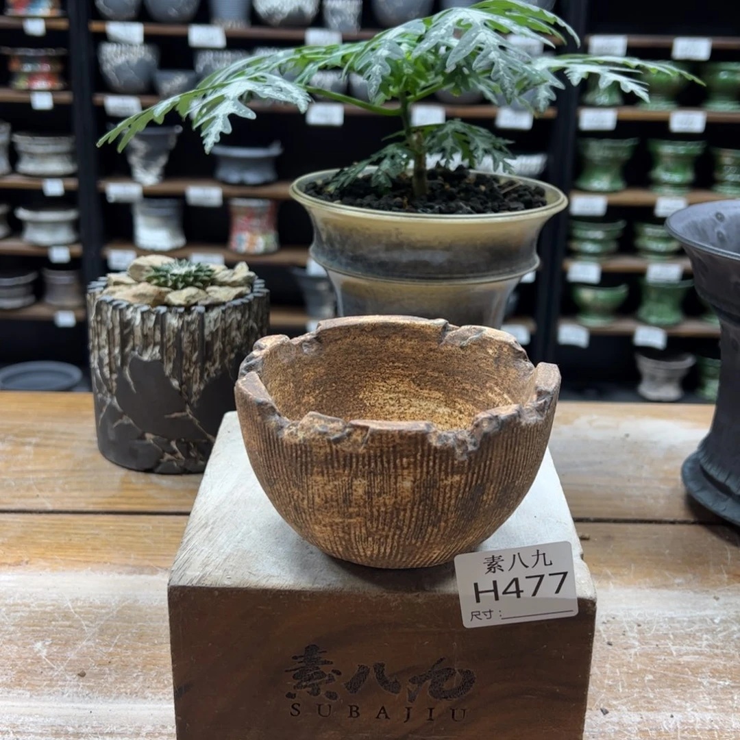 素八九陶瓷内口10高7