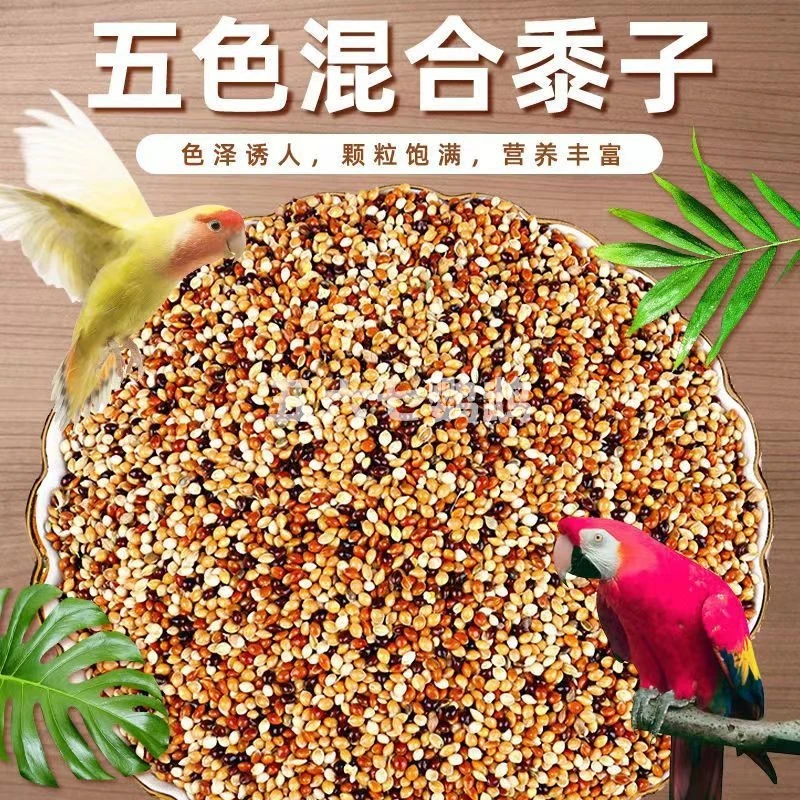当季新鲜粮五色黍子混合鸟粮虎皮牡丹玄风鹦鹉饲料营养鸟食鸟饲料