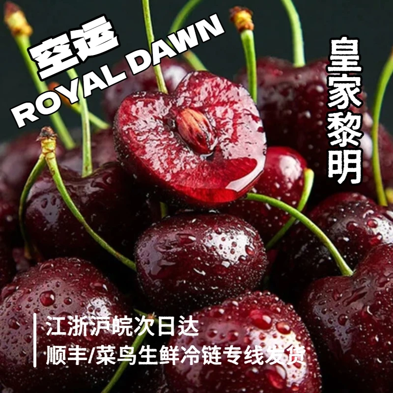 【3JD高品质黑车次日达】5斤原箱智利海运车厘子内附果径卡皇家黎明樱桃智利共和国