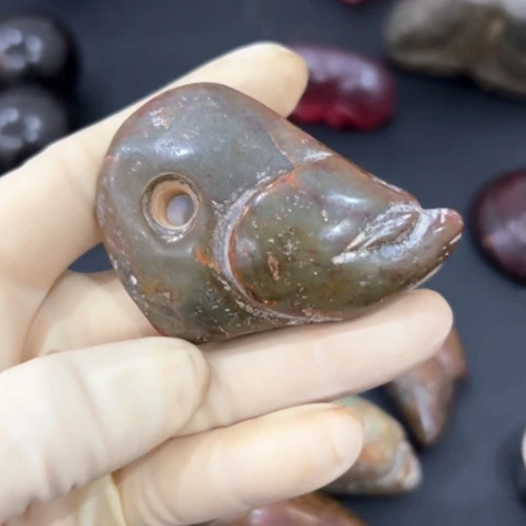 把件菩提根/象牙果张*子