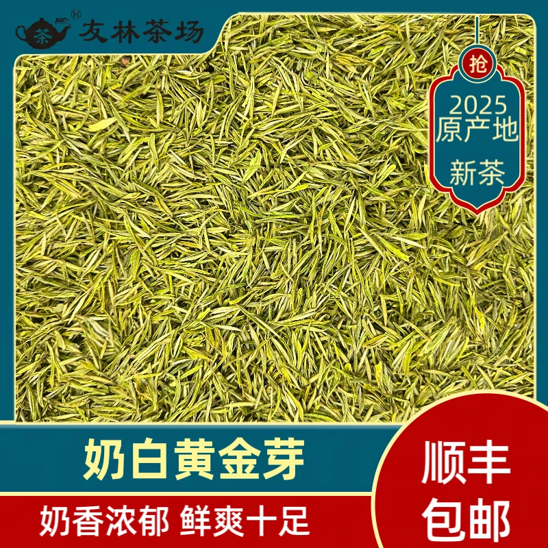 友林安吉白茶2025新茶原产地自产自销明前奶香黄金芽熊猫奶白A52