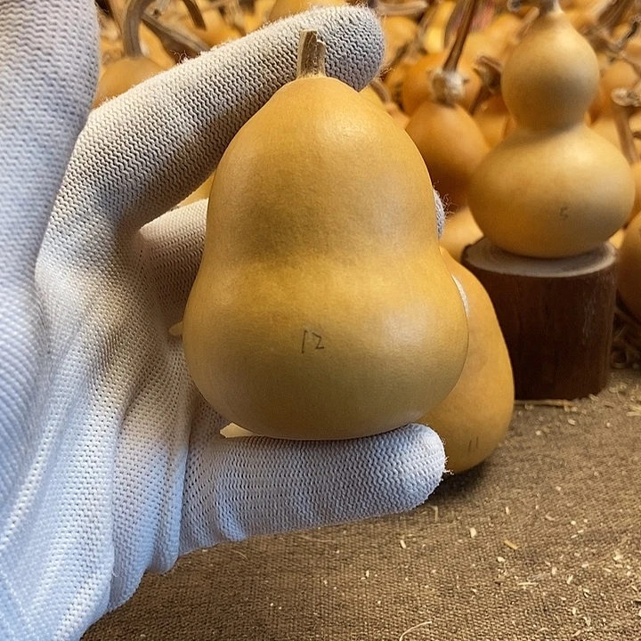 文玩葫芦 完美主义者 慎拍12