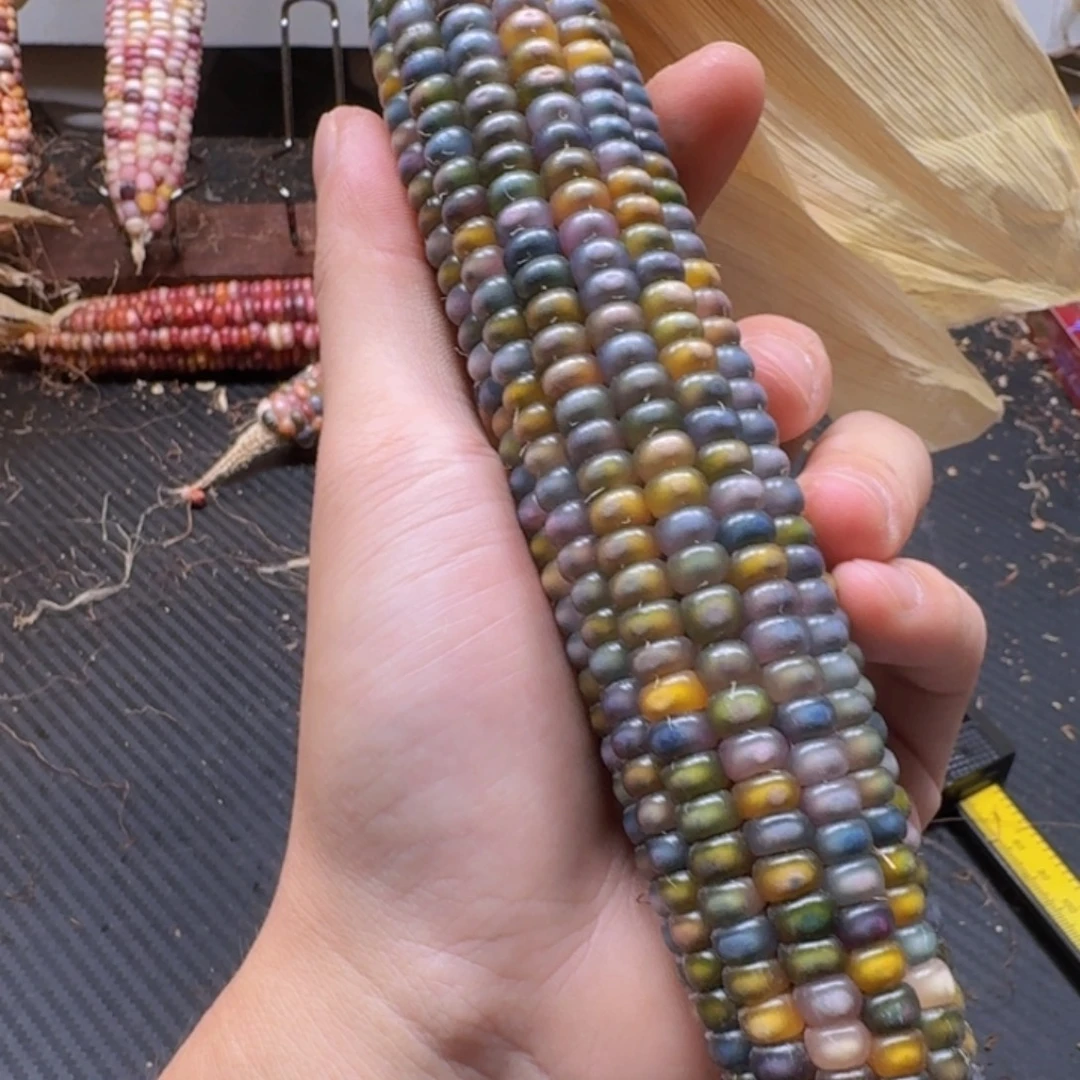 .***.柏香籽/百香籽吊坠